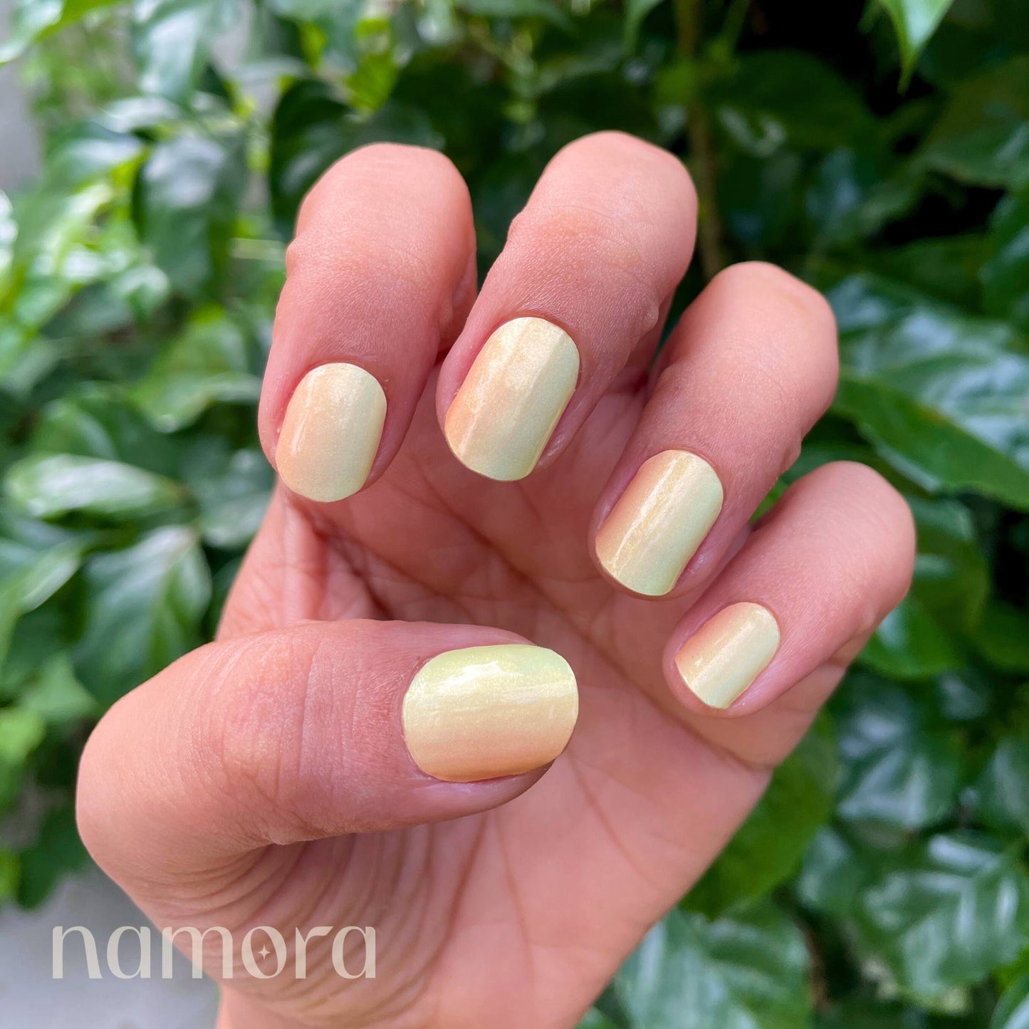 Lets Glow - Namora