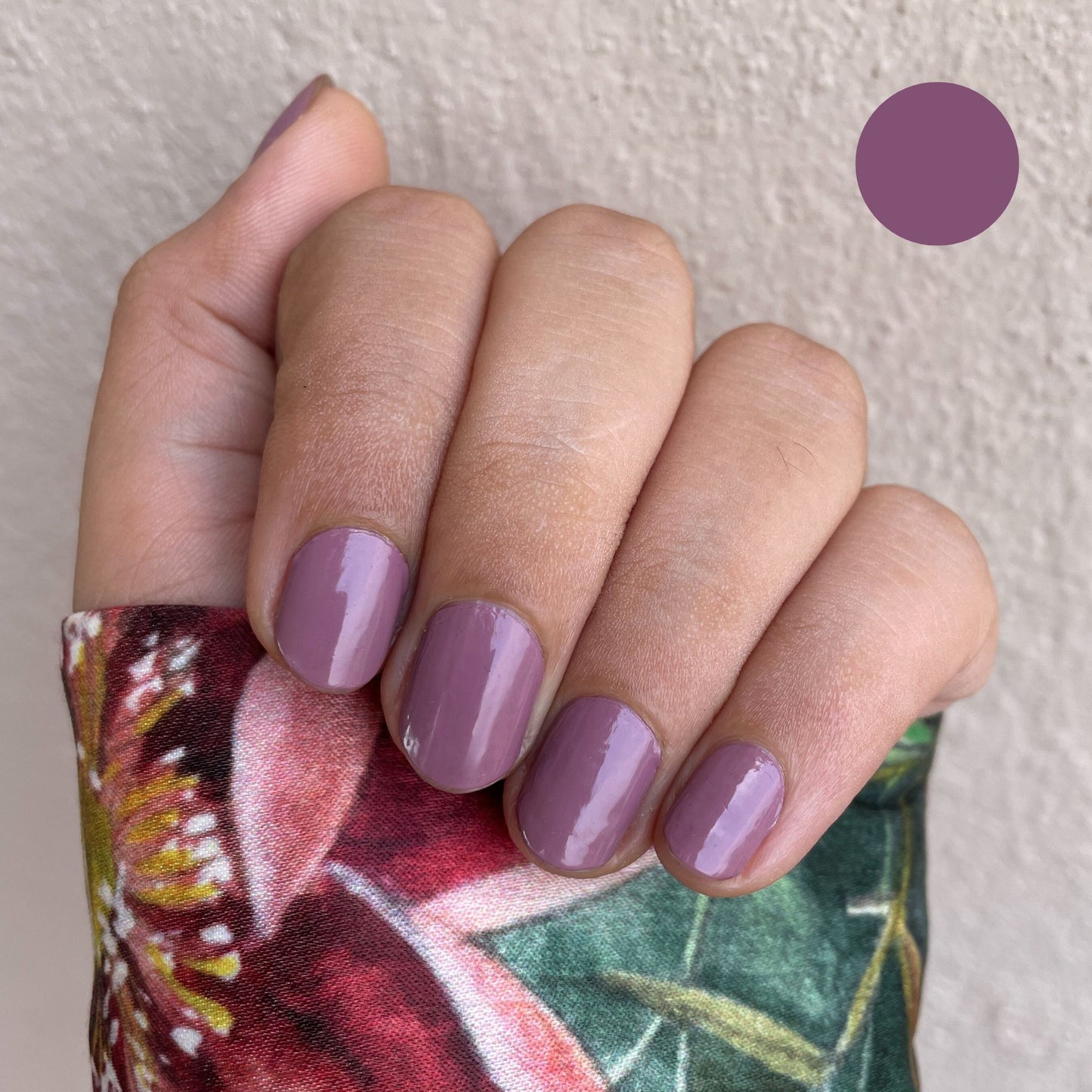 Deep Plum - Namora