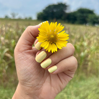 Hand holding a yellow flower in front of a field