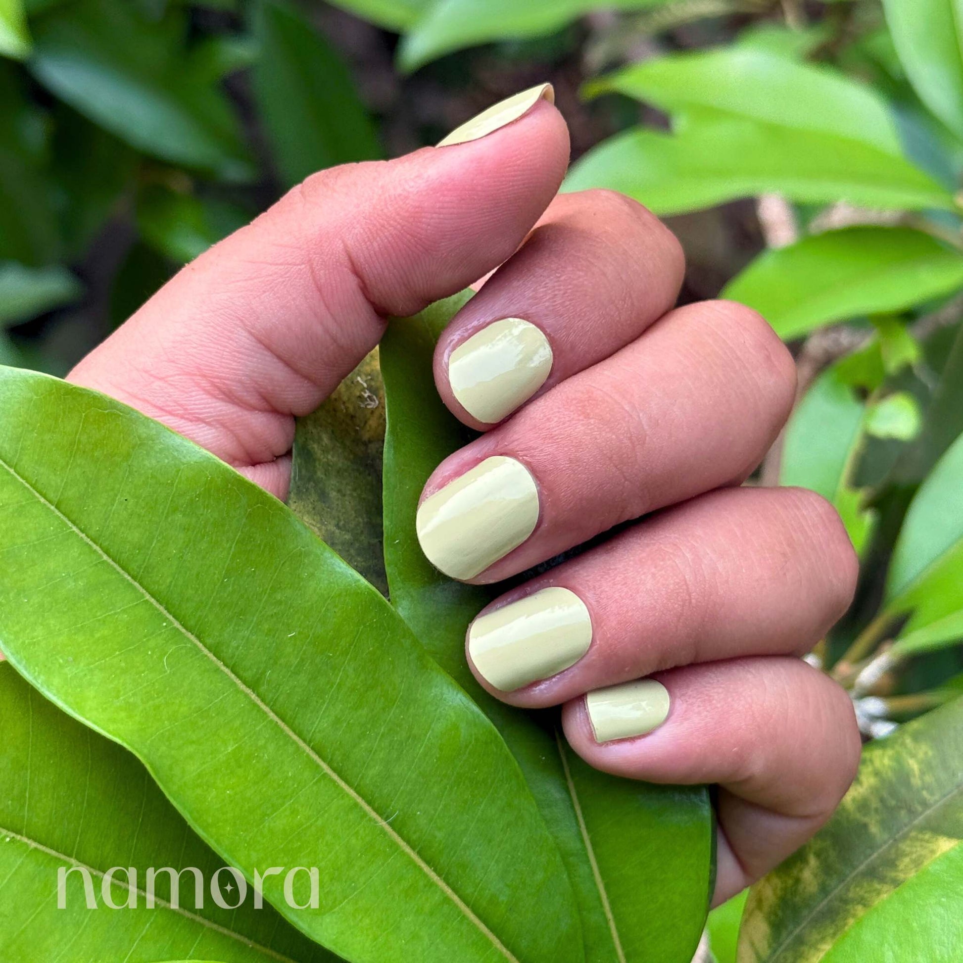 Matcha Latte - Namora